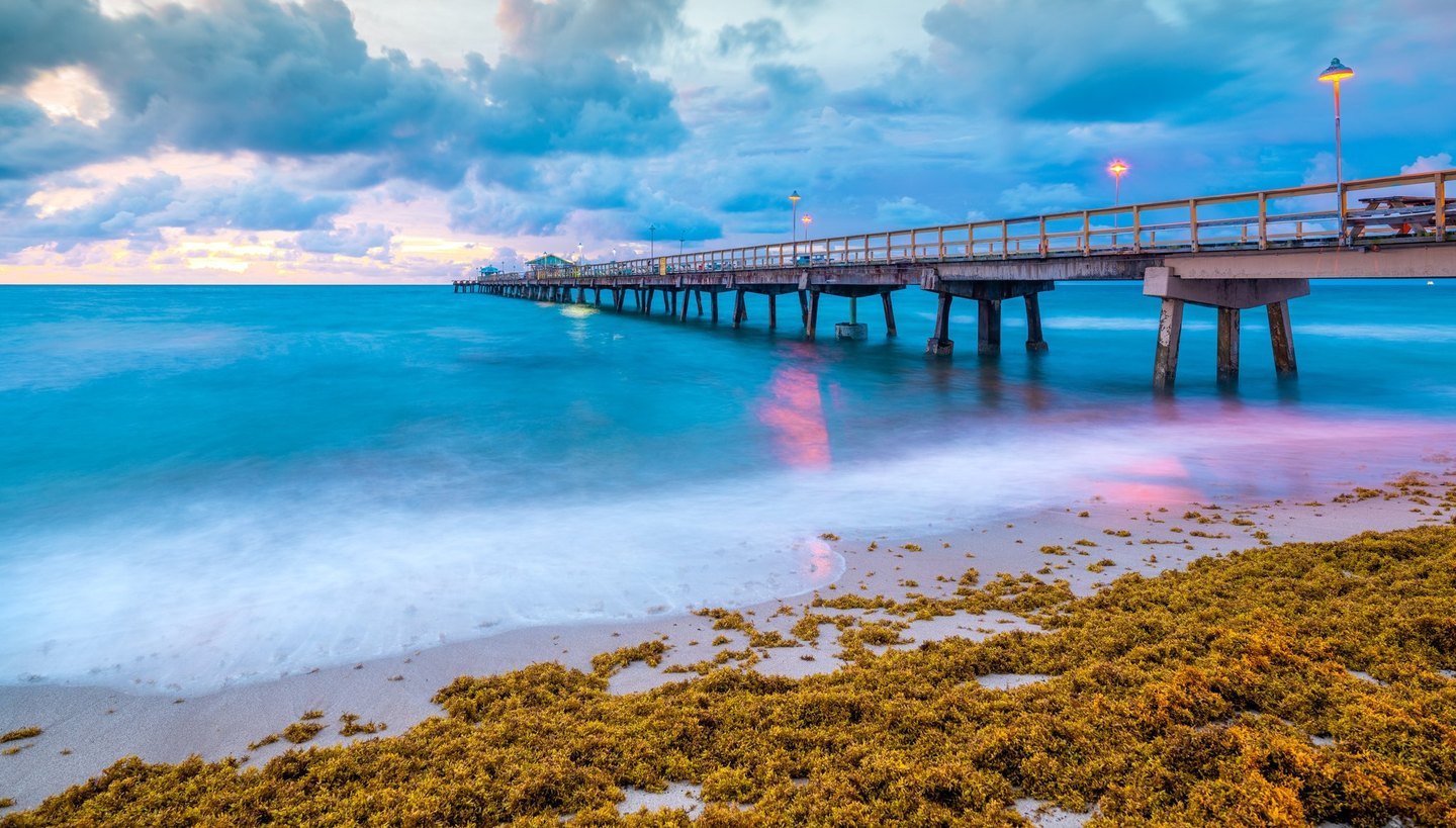 An illuminated pier stretches across turquoise water beneath blue-gray clouds, with pink reflections in the soft surf and golden-brown seaweed covering the sandy foreground.
