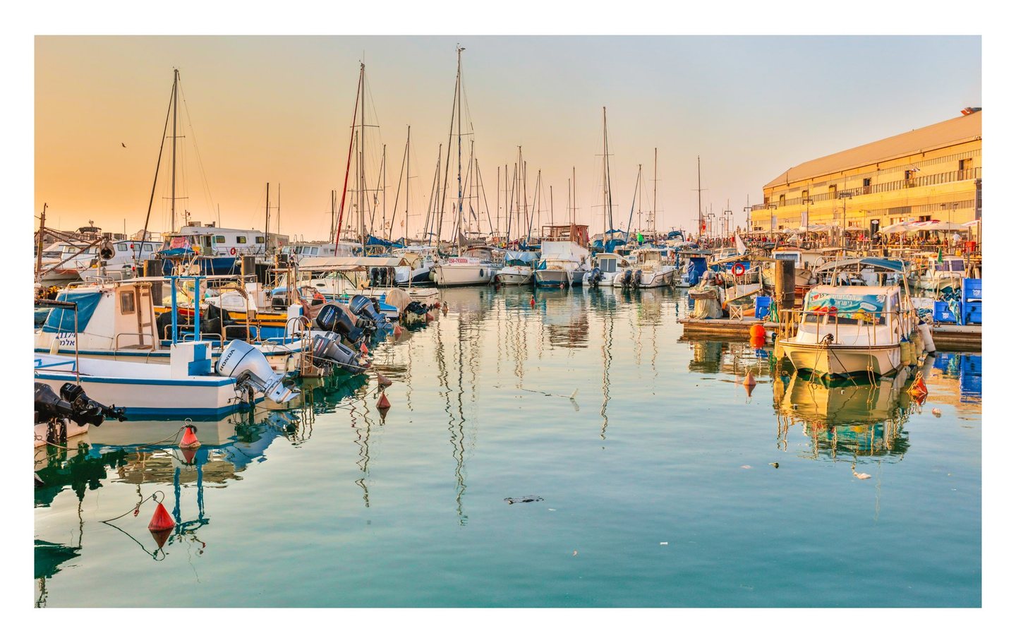 Fishing boats and sailboats fill a harbor, their masts reflected in calm turquoise water beside a waterfront building glowing in warm sunlight.