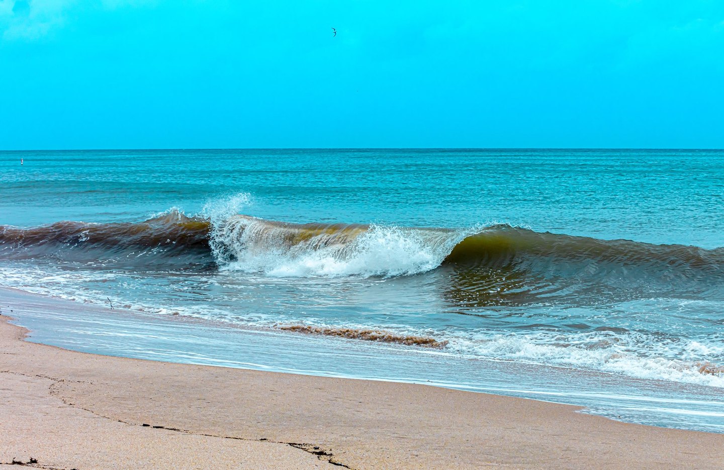 A curling wave breaks into white foam beside a sandy beach beneath a vivid cyan sky, with a small bird overhead.