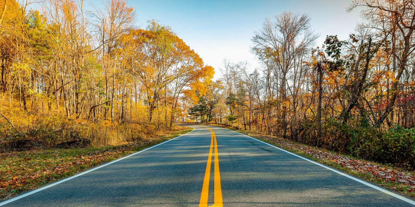 An empty two-lane road with double yellow lines curves left through golden autumn woodland beneath a clear blue sky.