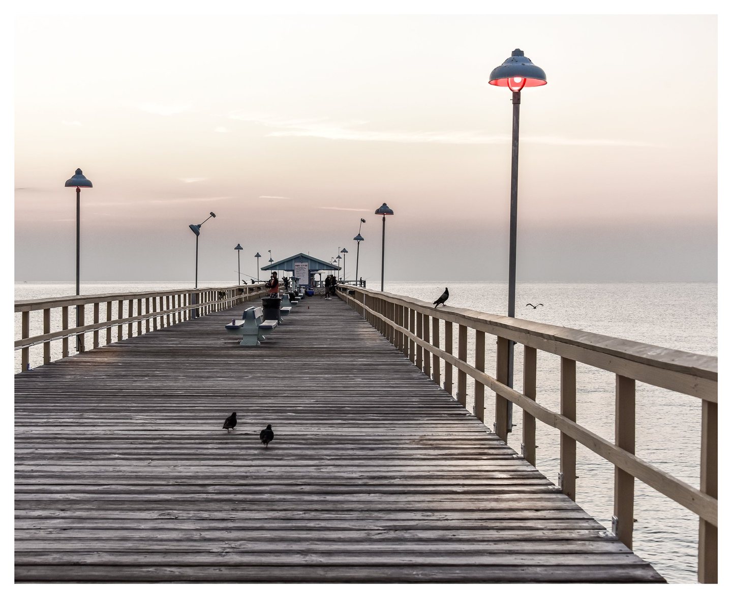 A wooden fishing pier lined with benches and lamps extends toward a small shelter beneath a pale pink sky, with birds in the foreground and people near the far end.