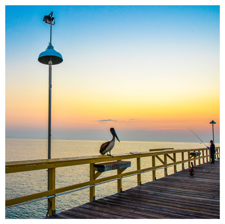 Two pelicans and a person holding a fishing rod occupy a wooden pier with yellow railings beneath a blue and peach sky over calm water.