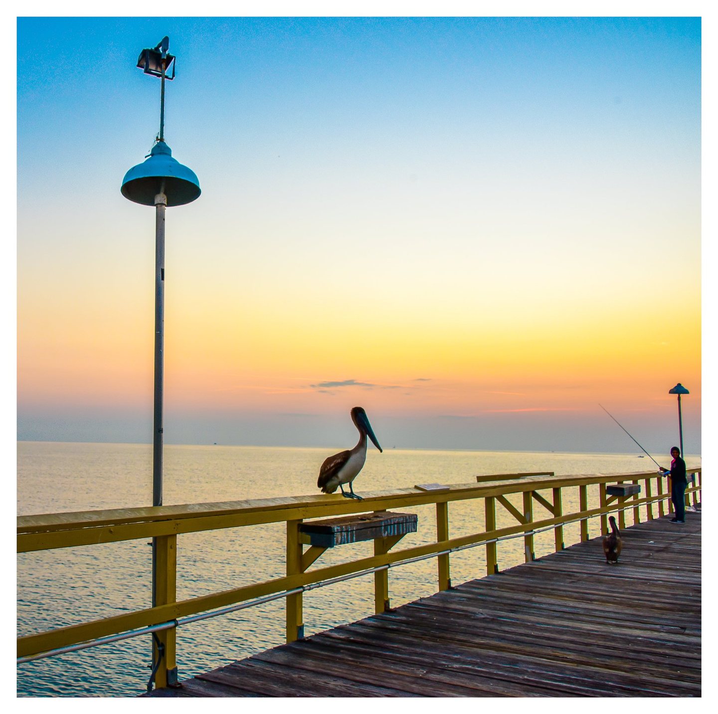 Two pelicans and a person holding a fishing rod occupy a wooden pier with yellow railings beneath a blue and peach sky over calm water.