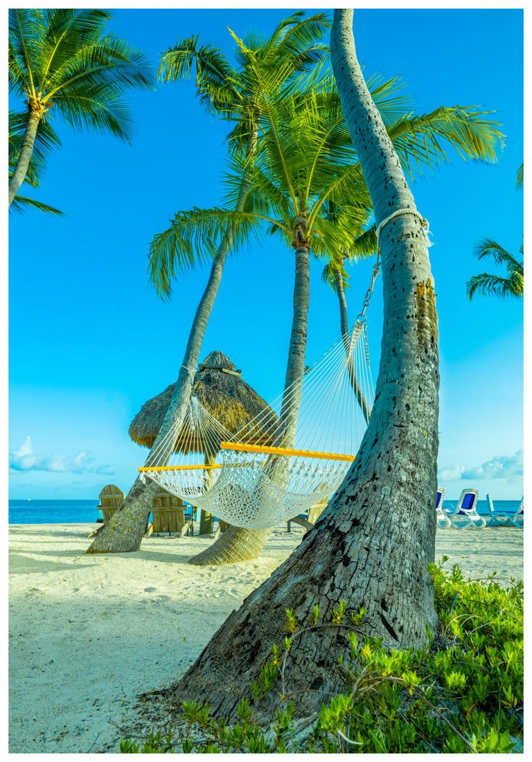 An empty white rope hammock hangs between leaning palm trees on a sandy beach, with a thatched sunshade, beach chairs, and blue ocean beneath a bright sky.