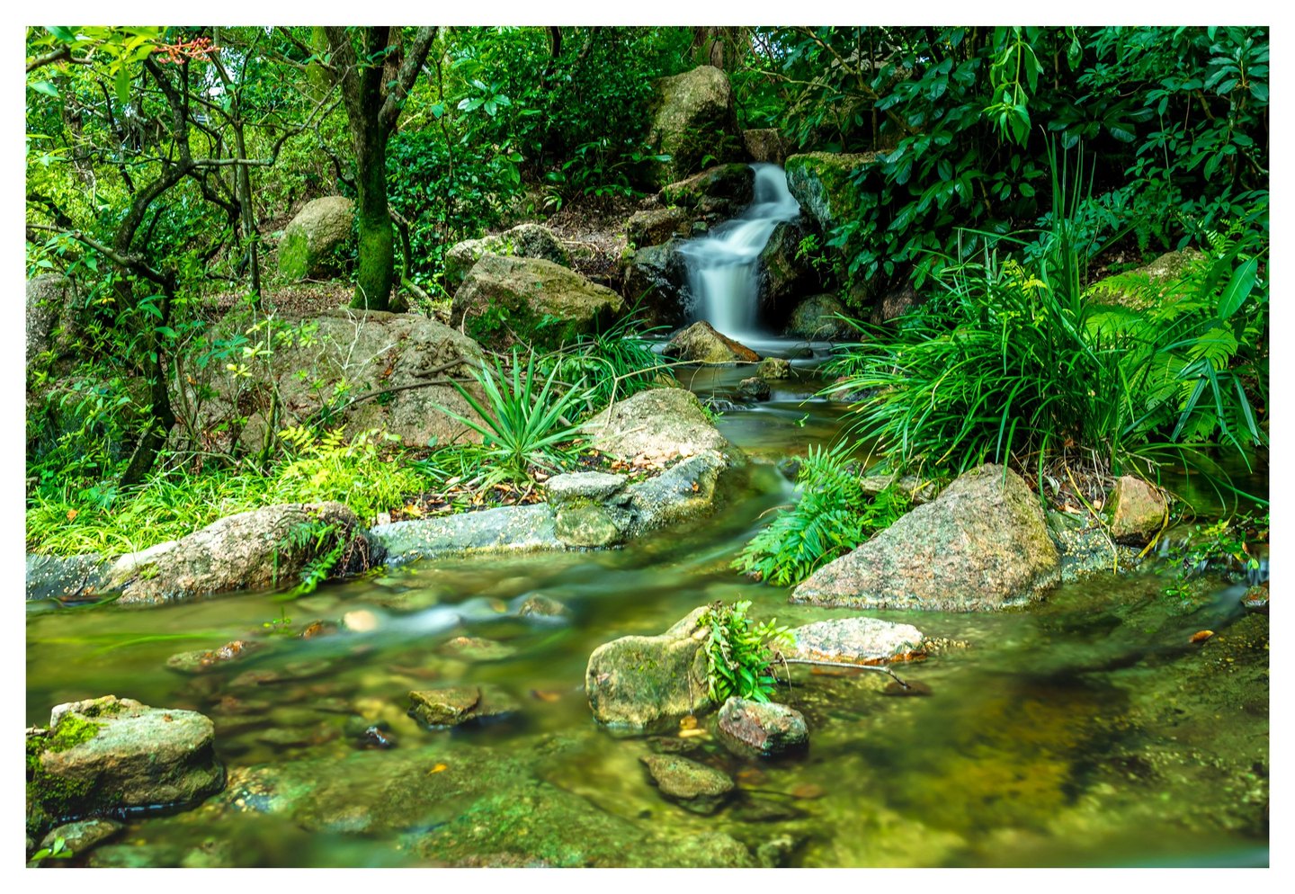 A small waterfall cascades between mossy boulders into a shallow rocky stream surrounded by dense green woodland foliage.