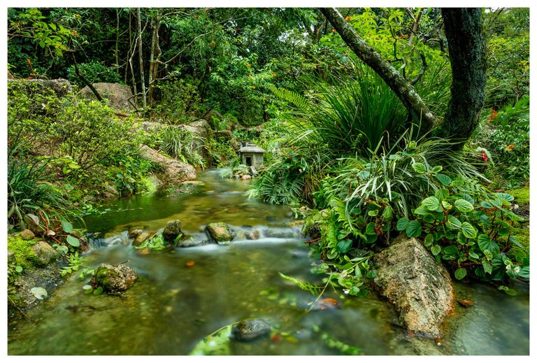 A shallow stream flows over rocks through dense green garden foliage, with a small stone lantern beside the water and a large tree on the right.