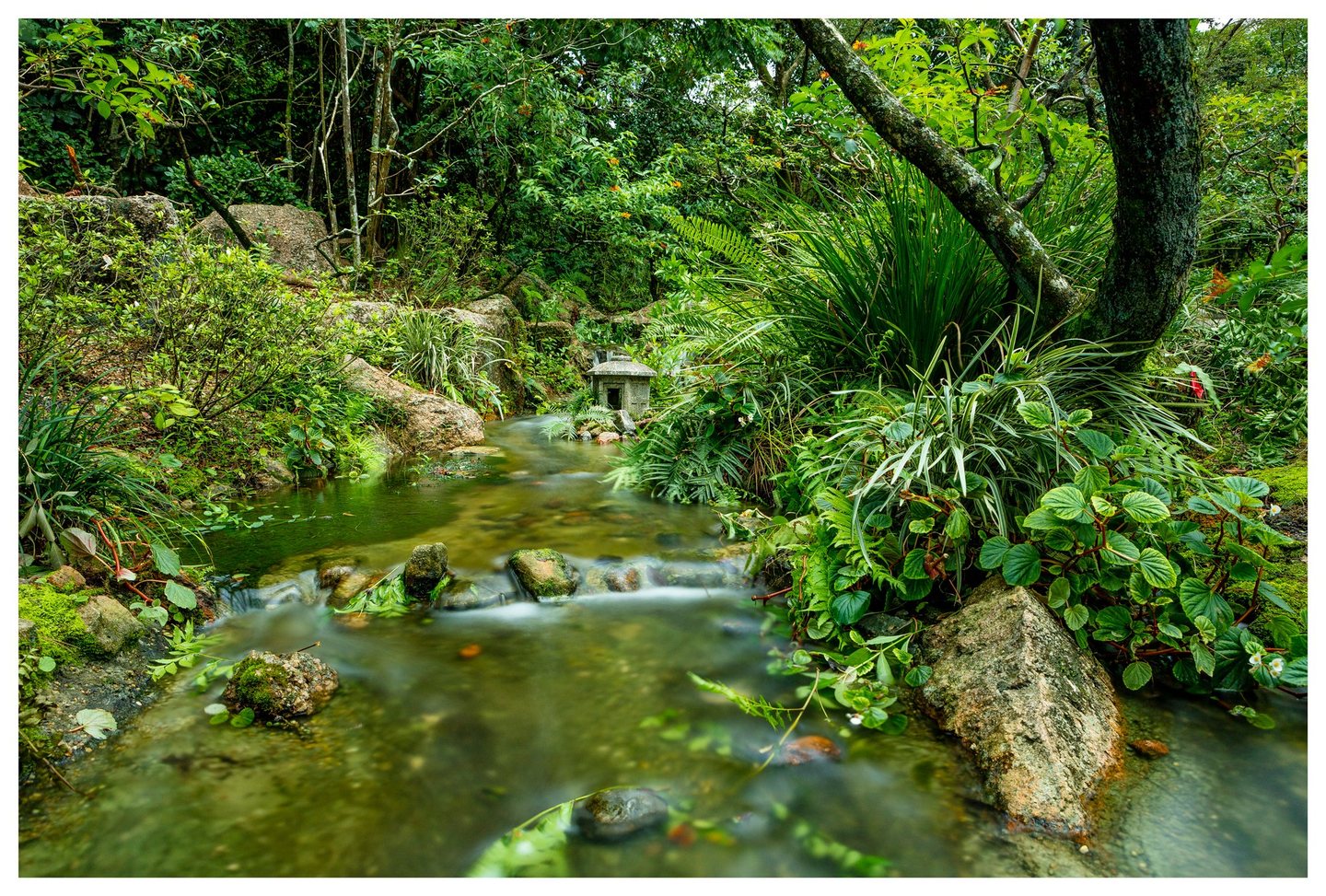 A shallow stream flows over rocks through dense green garden foliage, with a small stone lantern beside the water and a large tree on the right.