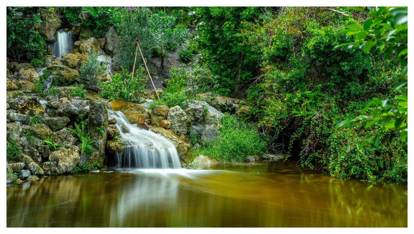 Small waterfalls cascade over rugged rocks into a green-gold garden pond surrounded by dense foliage, with a gray heron standing on rocks to the left.
