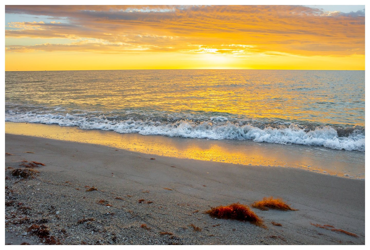 Golden light fills a cloud-streaked sky and reflects across the sea as small waves break onto a sandy beach scattered with shells and brown seaweed.