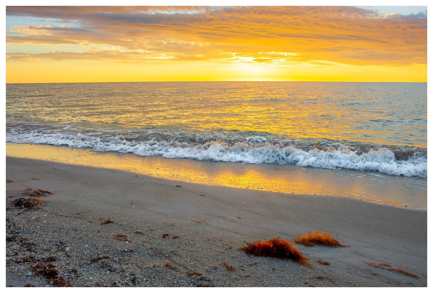 Golden light fills a cloud-streaked sky and reflects across the sea as small waves break onto a sandy beach scattered with shells and brown seaweed.