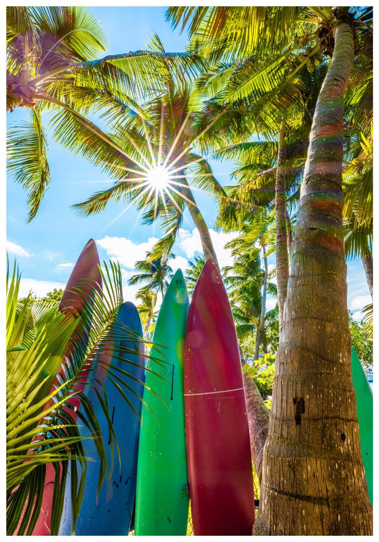 Colorful weathered boards stand upright among coconut palms, with sunlight forming a starburst through green fronds against a blue sky.