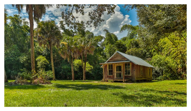 A small weathered wooden cabin with a metal roof stands in a sunlit grassy clearing surrounded by palms and dense foliage beneath a partly cloudy blue sky.