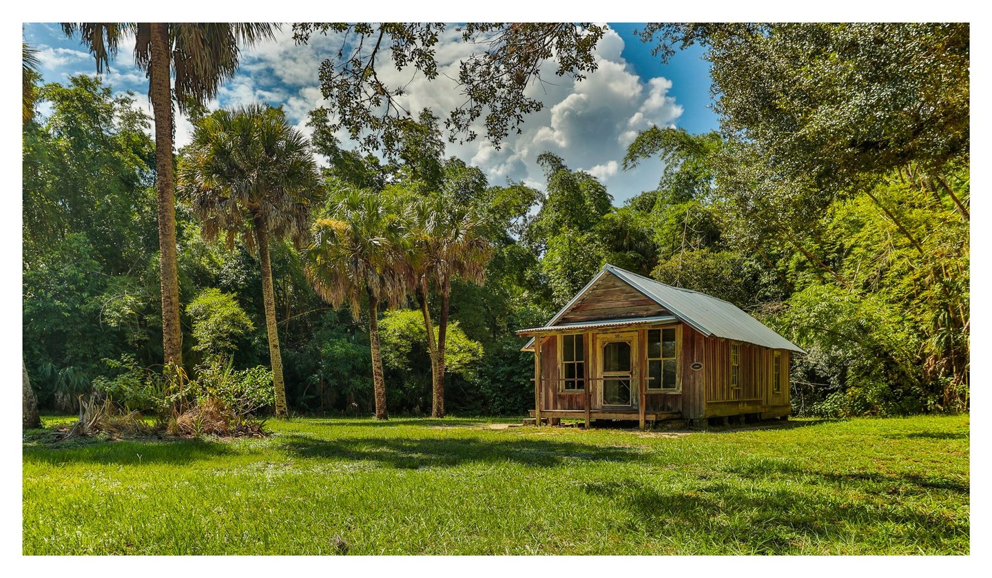 A small weathered wooden cabin with a metal roof stands in a sunlit grassy clearing surrounded by palms and dense foliage beneath a partly cloudy blue sky.