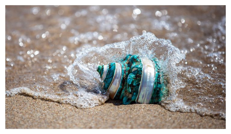 A small wave splashes around a turquoise and pearly white spiral shell resting on wet sand.