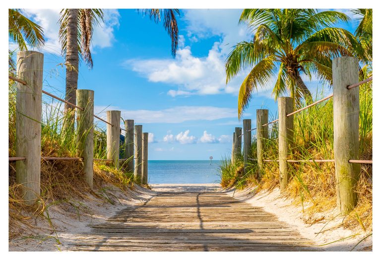 A sunlit wooden boardwalk bordered by rope fences, dune grasses, and palm trees leads to a sandy beach and calm blue sea beneath scattered clouds.