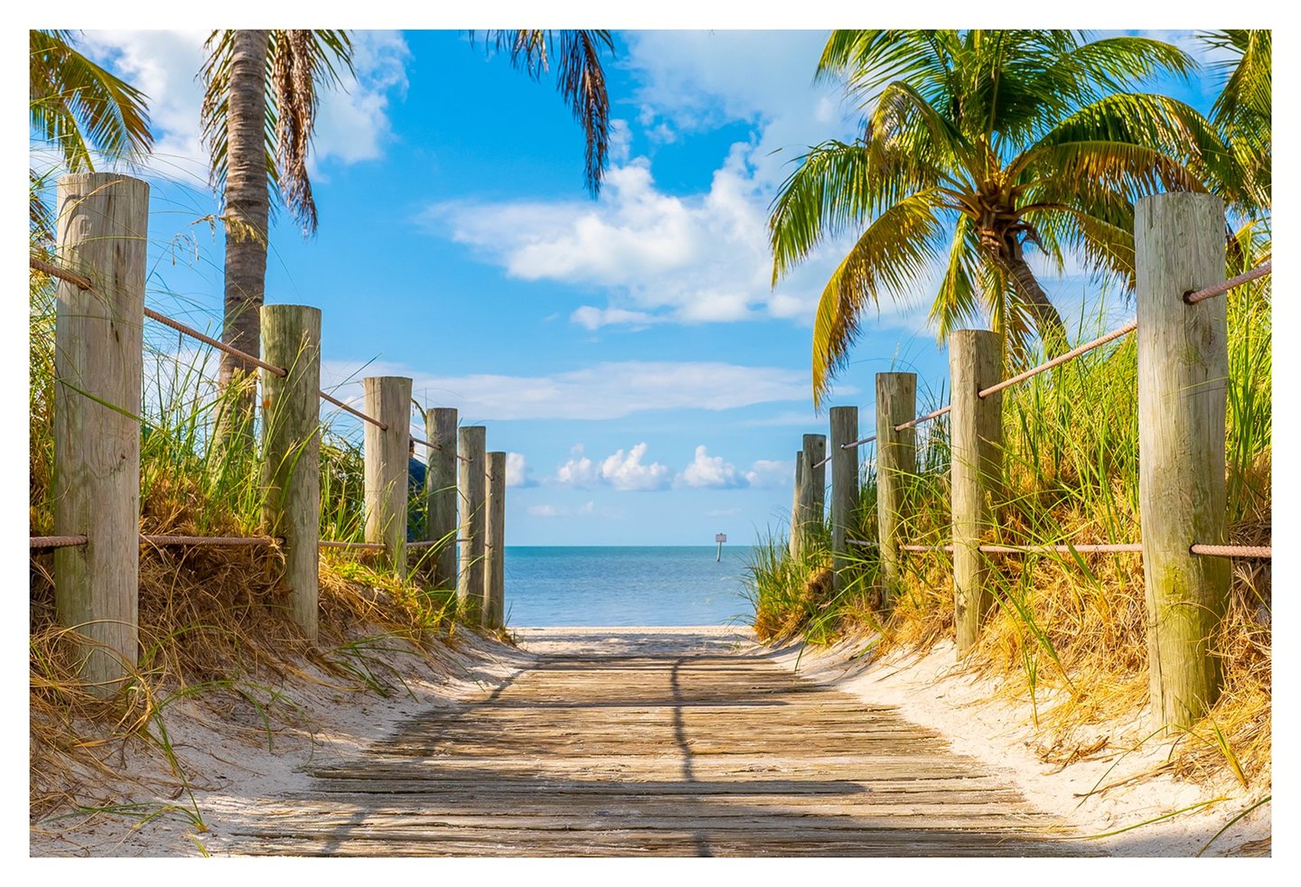 A sunlit wooden boardwalk bordered by rope fences, dune grasses, and palm trees leads to a sandy beach and calm blue sea beneath scattered clouds.