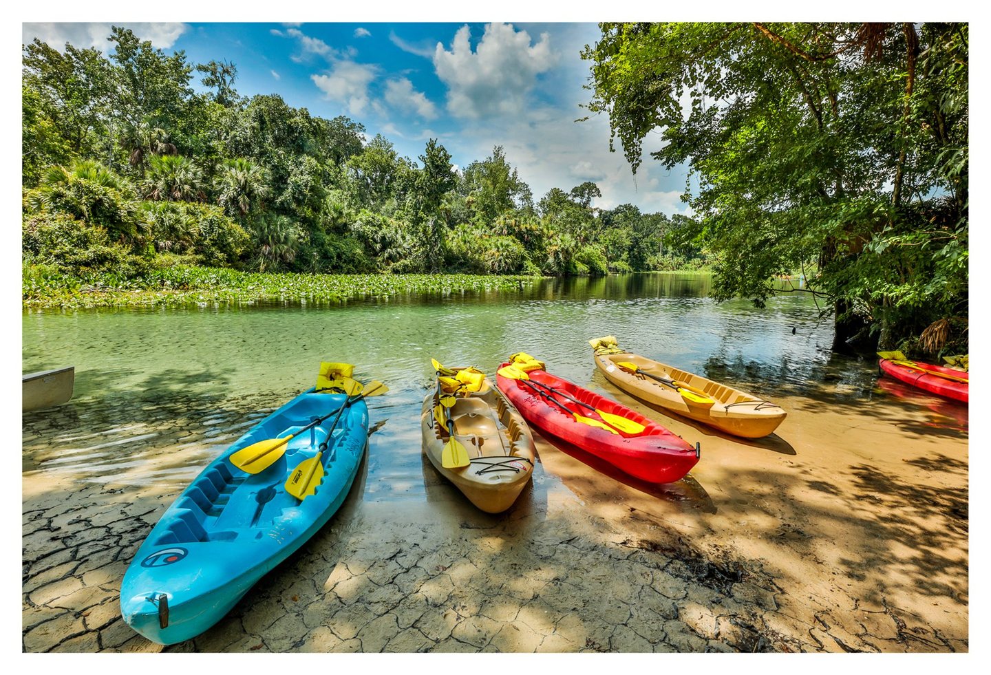 Blue, red, and tan kayaks with yellow paddles rest on a sandy riverbank beside clear green water bordered by dense trees under a partly cloudy blue sky.