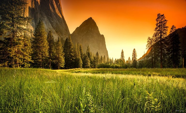 Golden light crosses a green meadow bordered by tall conifers and towering rock cliffs beneath a vivid orange sky.