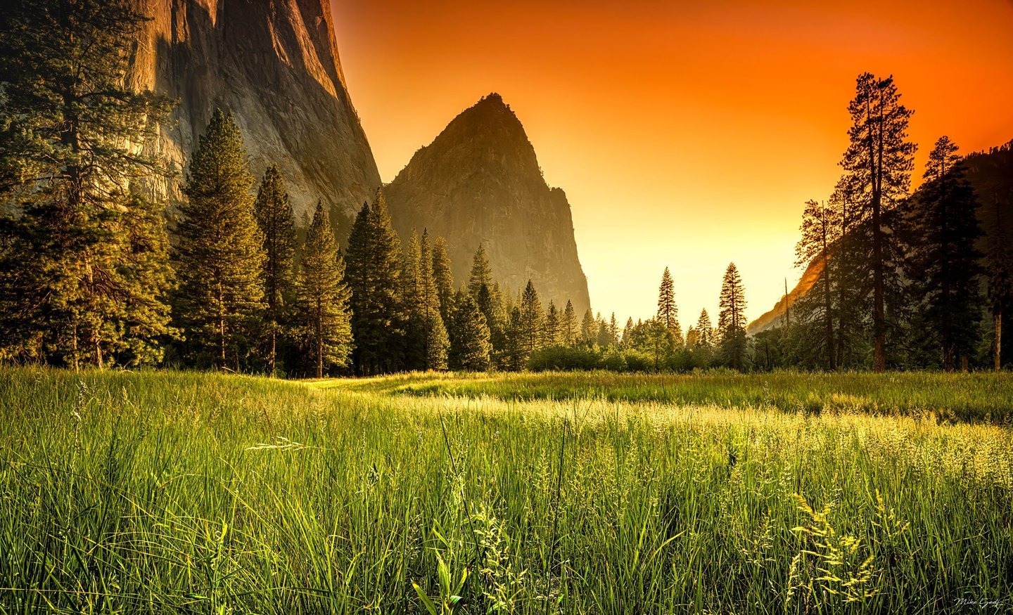 Golden light crosses a green meadow bordered by tall conifers and towering rock cliffs beneath a vivid orange sky.