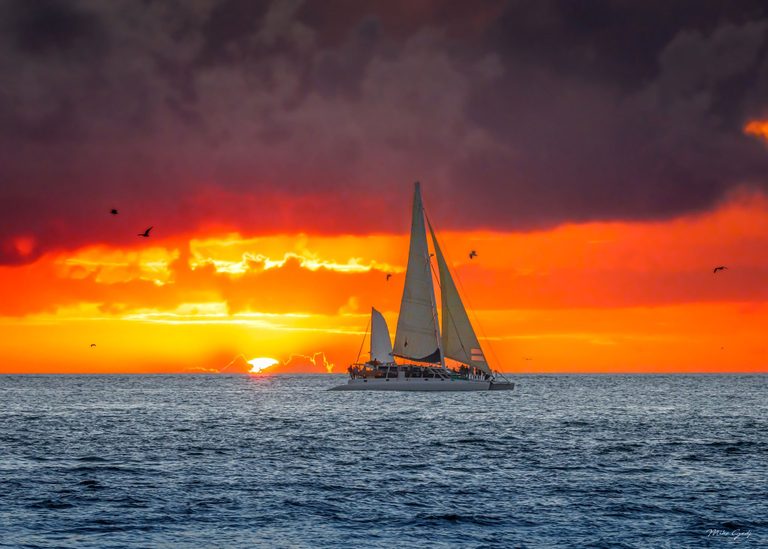 A white sailing catamaran with people aboard crosses blue-gray ocean water beneath birds and dark clouds in a vivid orange sunset.