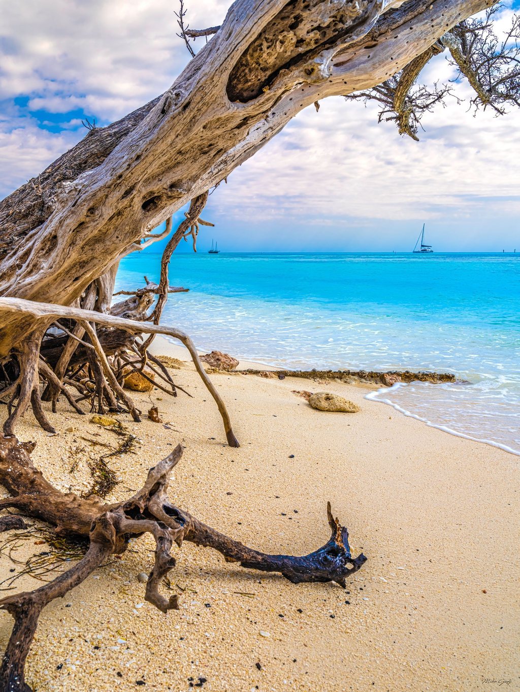 A weathered tree trunk and exposed roots frame a sandy beach beside turquoise water, with two sailboats beneath a cloudy sky.