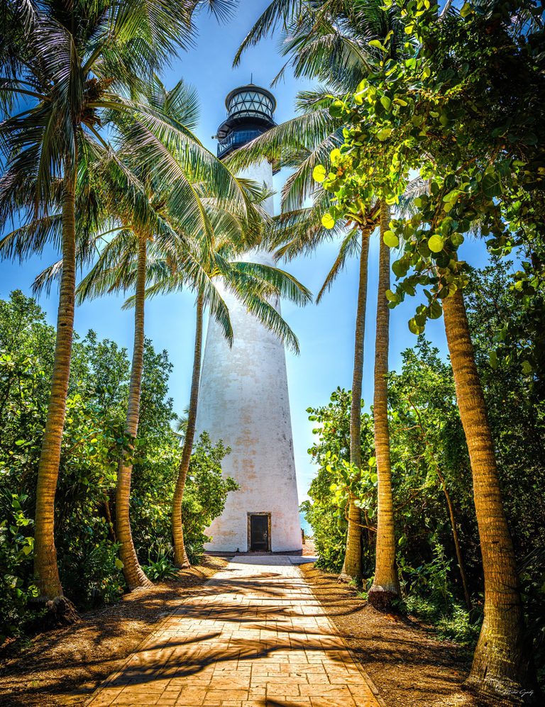 A sunlit paved path leads between tall palms and dense green foliage to a white lighthouse beneath a clear blue sky.