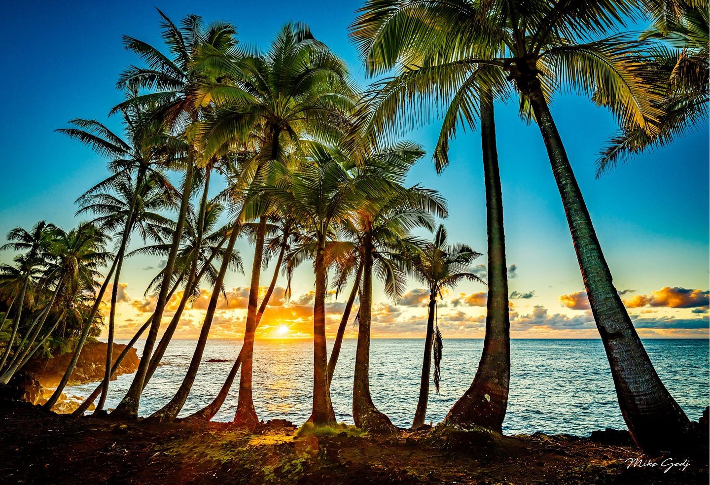 Tall leaning palm trees frame a low golden sun over a blue ocean, with illuminated clouds along the horizon and a rocky shoreline at left.