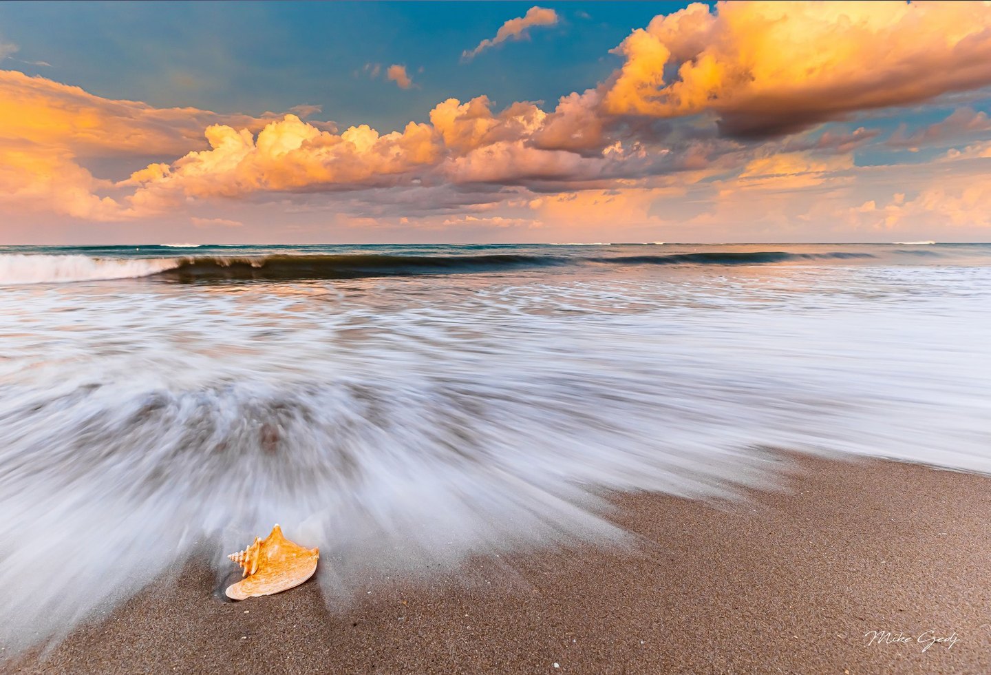 An orange seashell rests on wet sand as blurred white surf washes around it beneath ocean waves and glowing peach and gold clouds.