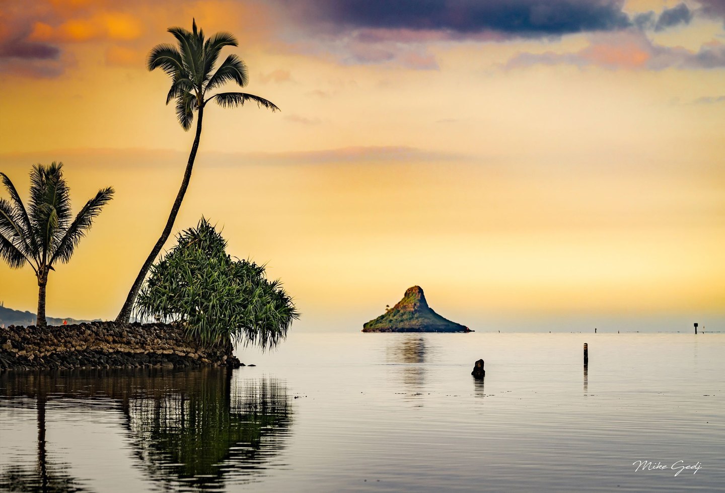 Palm trees and dense coastal foliage rise from a rocky shore beside calm water, with a small pointed island beneath a golden sky and dark clouds.