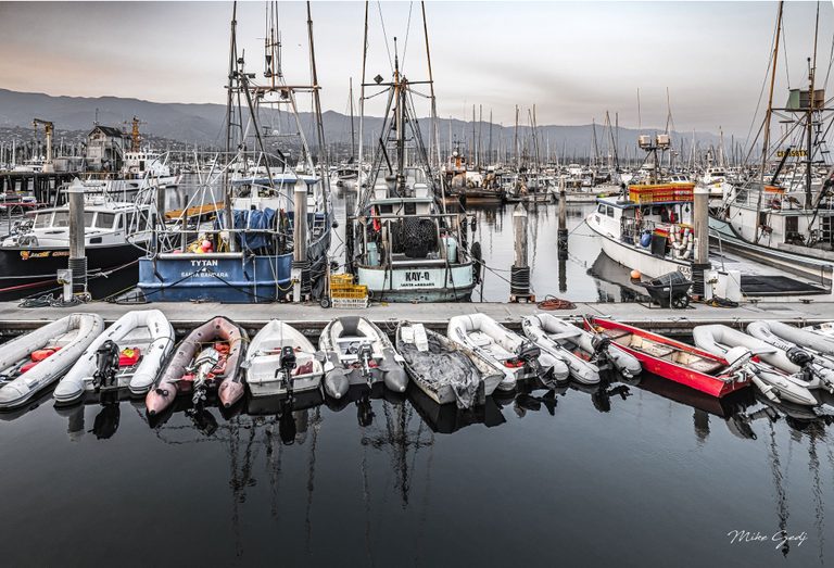Dinghies line a floating dock in front of fishing boats and sailboat masts at Santa Barbara harbor, with reflections in calm water and mountains beneath an overcast sky.