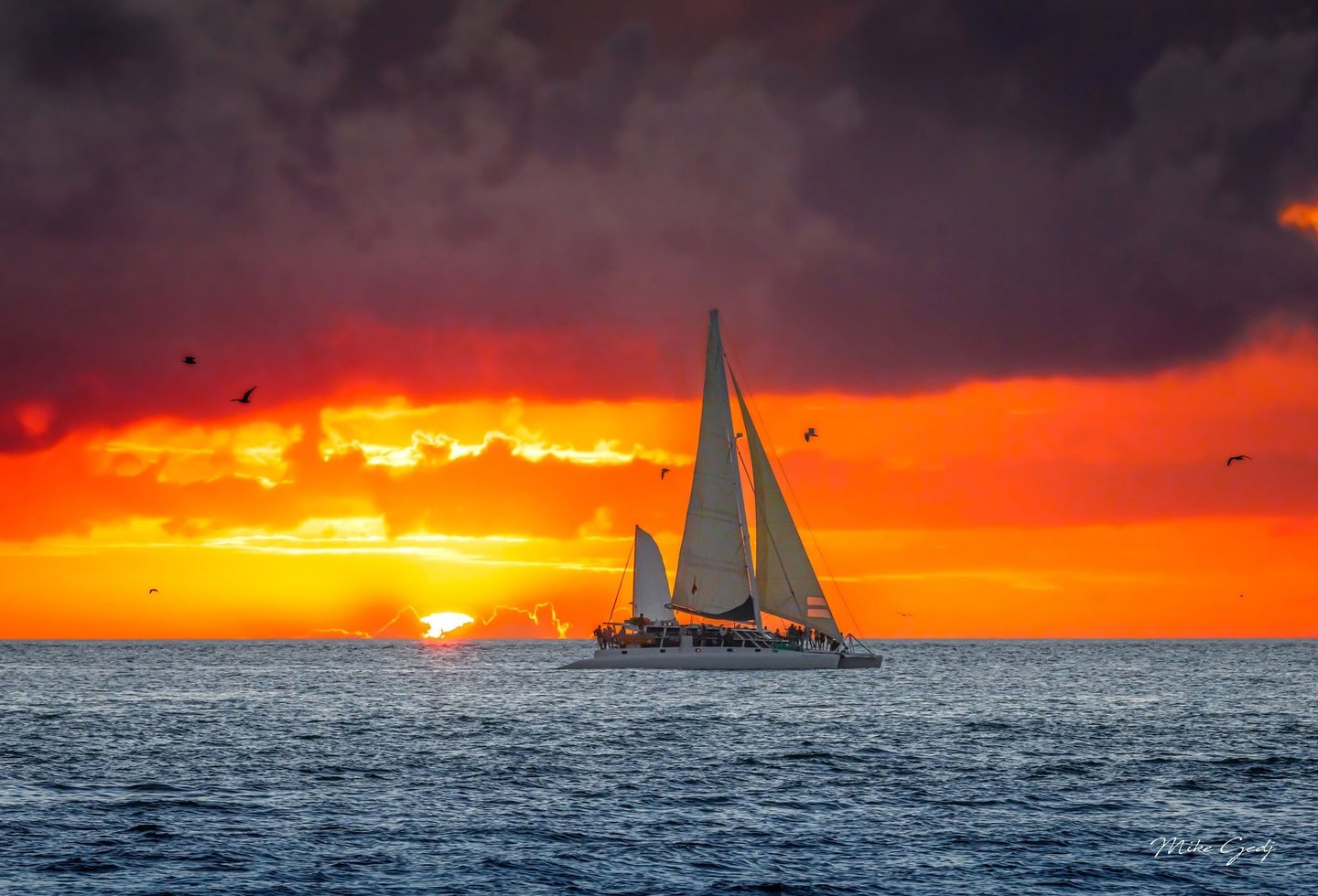 A white sailing catamaran carrying passengers crosses blue-gray ocean water beneath birds and dark clouds against a vivid orange sunset.