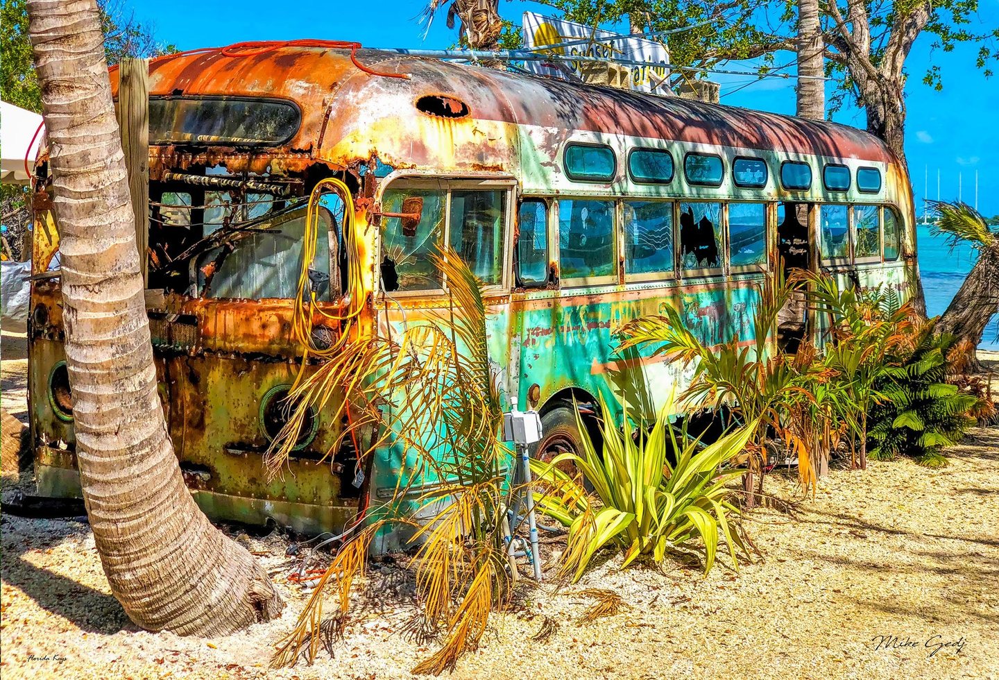 A heavily rusted turquoise and yellow bus with broken windows stands among palms beside bright blue water in the Florida Keys.