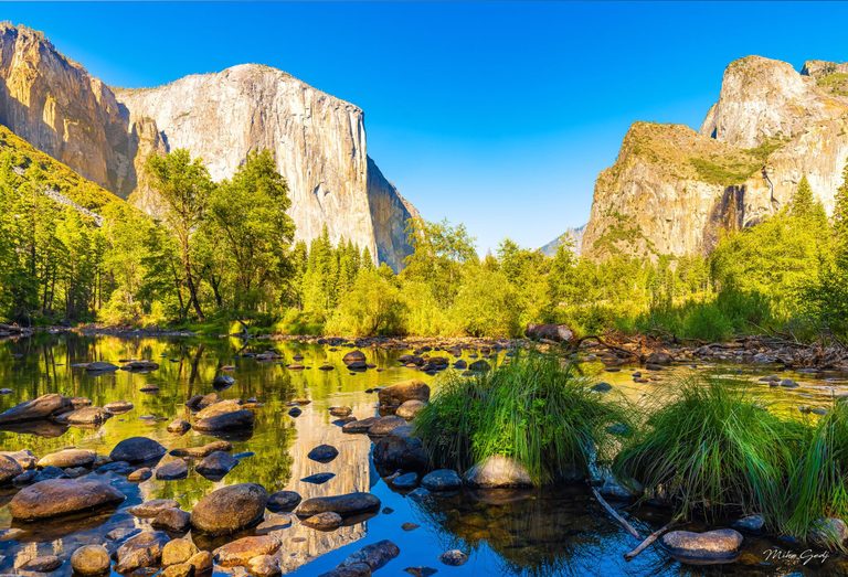 Sunlit granite cliffs rise above green woodland in Yosemite Valley, reflected in a shallow river scattered with rounded rocks and clumps of grass beneath a clear blue sky.