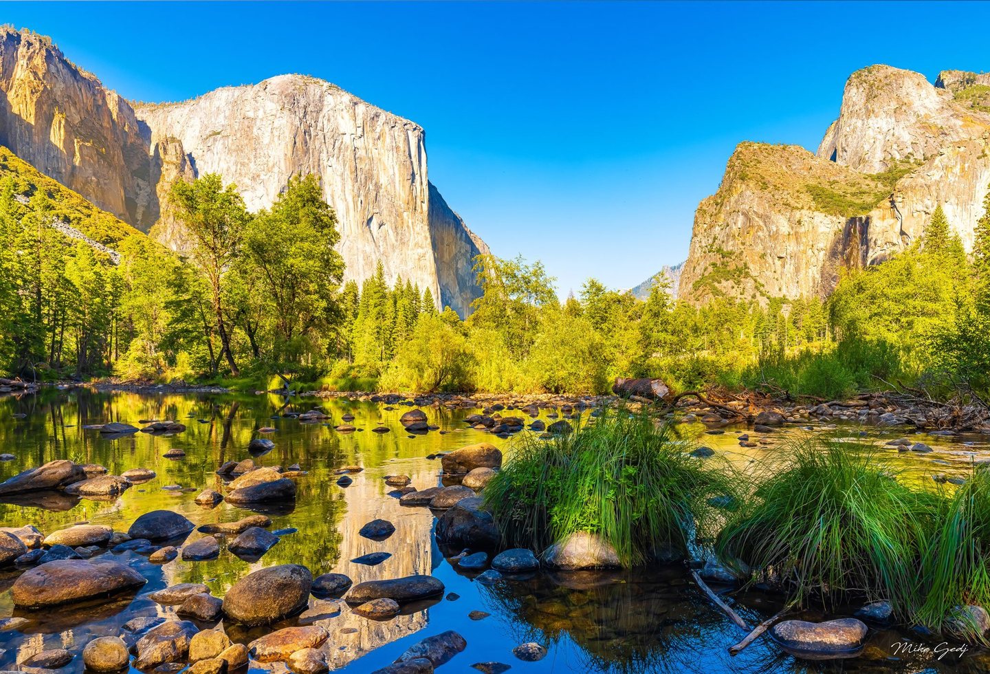 Sunlit granite cliffs rise above green woodland in Yosemite Valley, reflected in a shallow river scattered with rounded rocks and clumps of grass beneath a clear blue sky.
