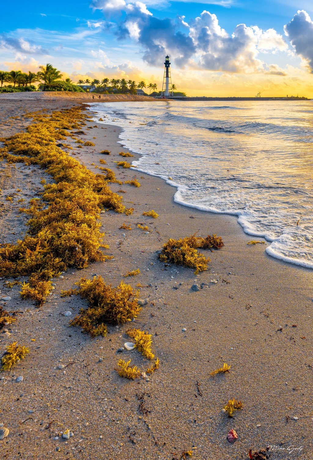 Gentle waves meet a sandy beach strewn with golden seaweed and shells, with palm trees and a lighthouse beneath a blue and gold cloud-filled sky.