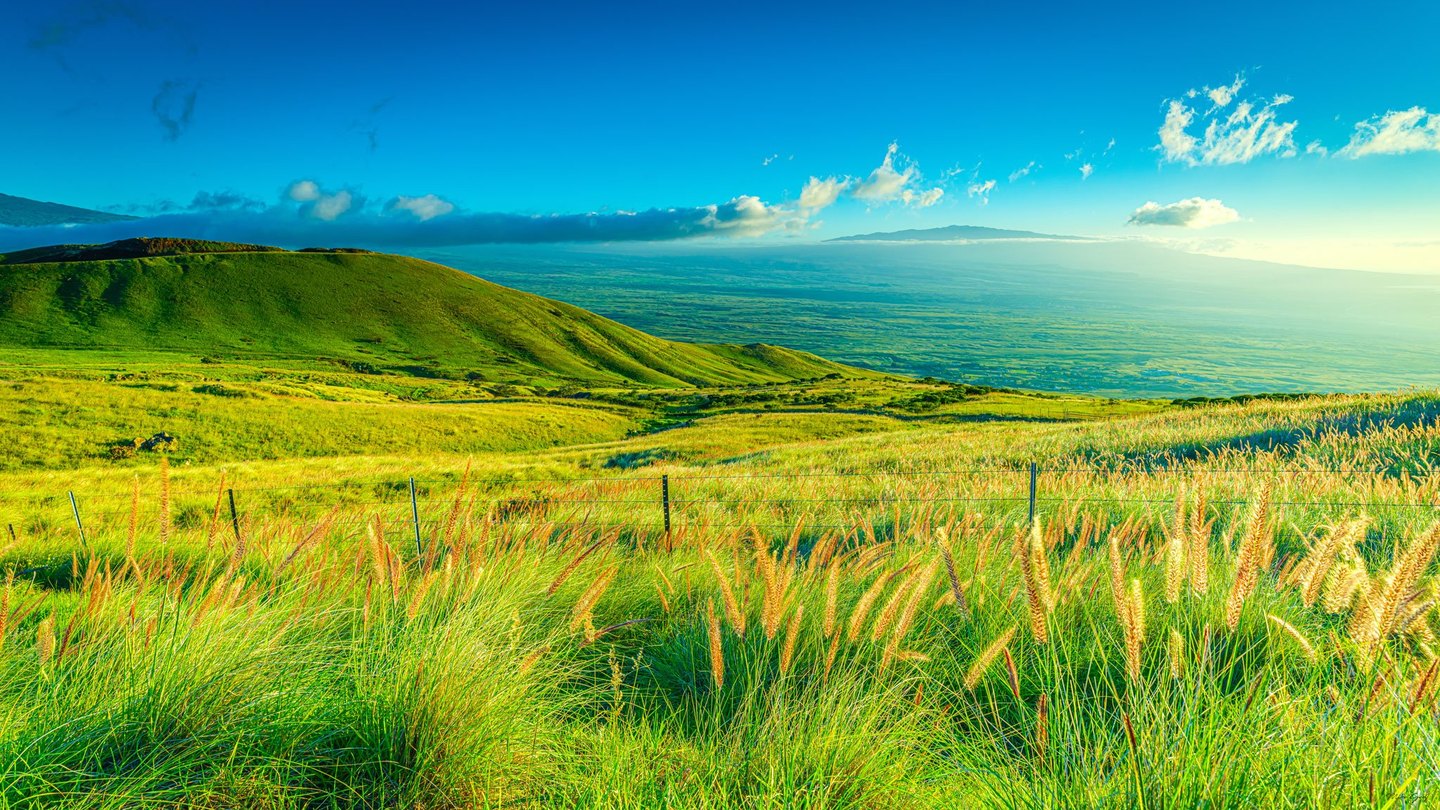 Golden-tipped grasses and a wire fence overlook rolling green hills, a broad hazy plain, and distant mountain ridges beneath a blue sky with scattered clouds.