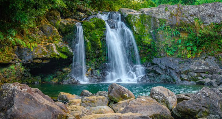 A waterfall splits around moss-covered rocks into a green pool, surrounded by dense foliage and large foreground boulders.