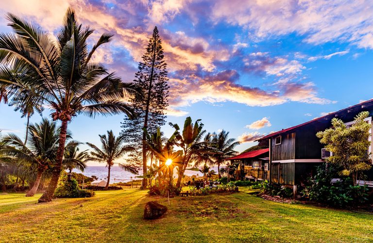 Low sunlight shines through banana leaves and palms over a coastal lawn beside a dark wooden house, beneath peach and lavender clouds.