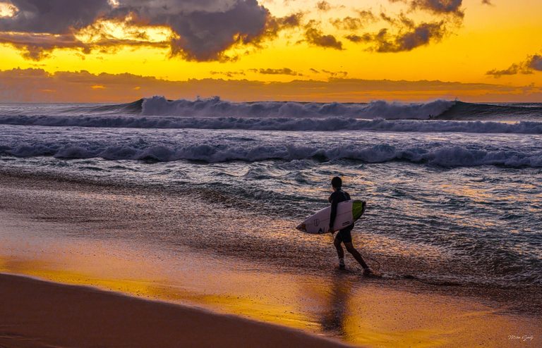 A surfer carries a surfboard through shallow water beside wet sand as large waves break beneath a golden sky with dark clouds.