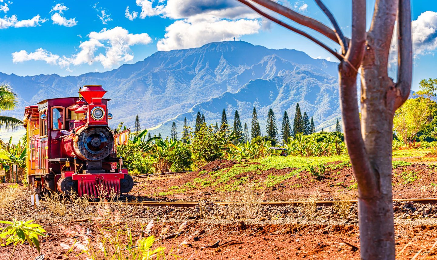 A bright red locomotive sits on curved tracks amid red soil and tropical greenery, with a rugged mountain ridge behind it and a large tree trunk in the right foreground.