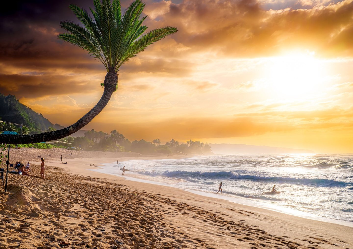 A curved palm tree arches over a sandy beach where beachgoers and surfers gather beside breaking waves under a glowing golden sky.