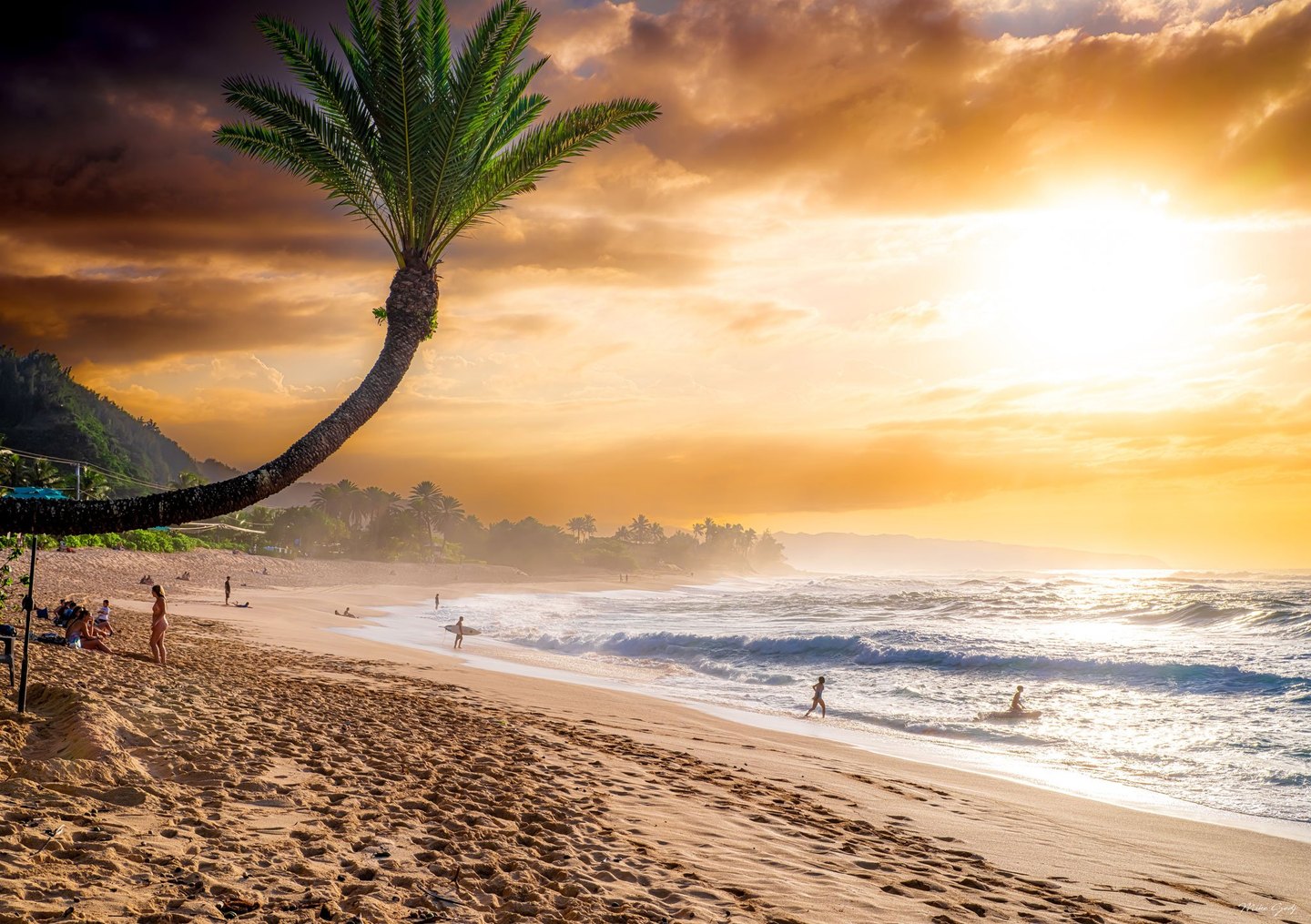 A curved palm tree arches over a sandy beach where beachgoers and surfers gather beside breaking waves under a glowing golden sky.