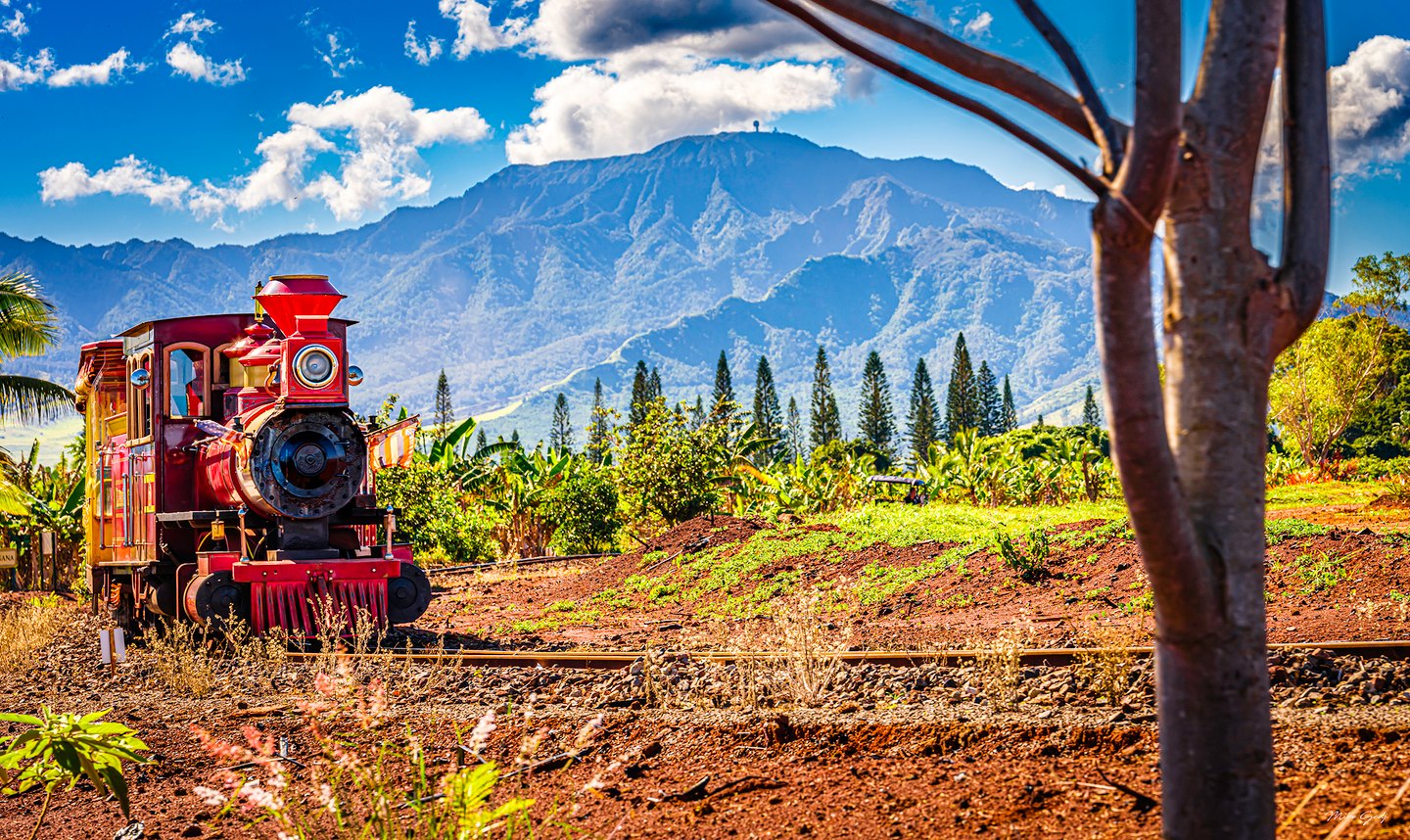A red locomotive sits on tracks amid tropical greenery, with a mountain ridge behind and a tree trunk at right.