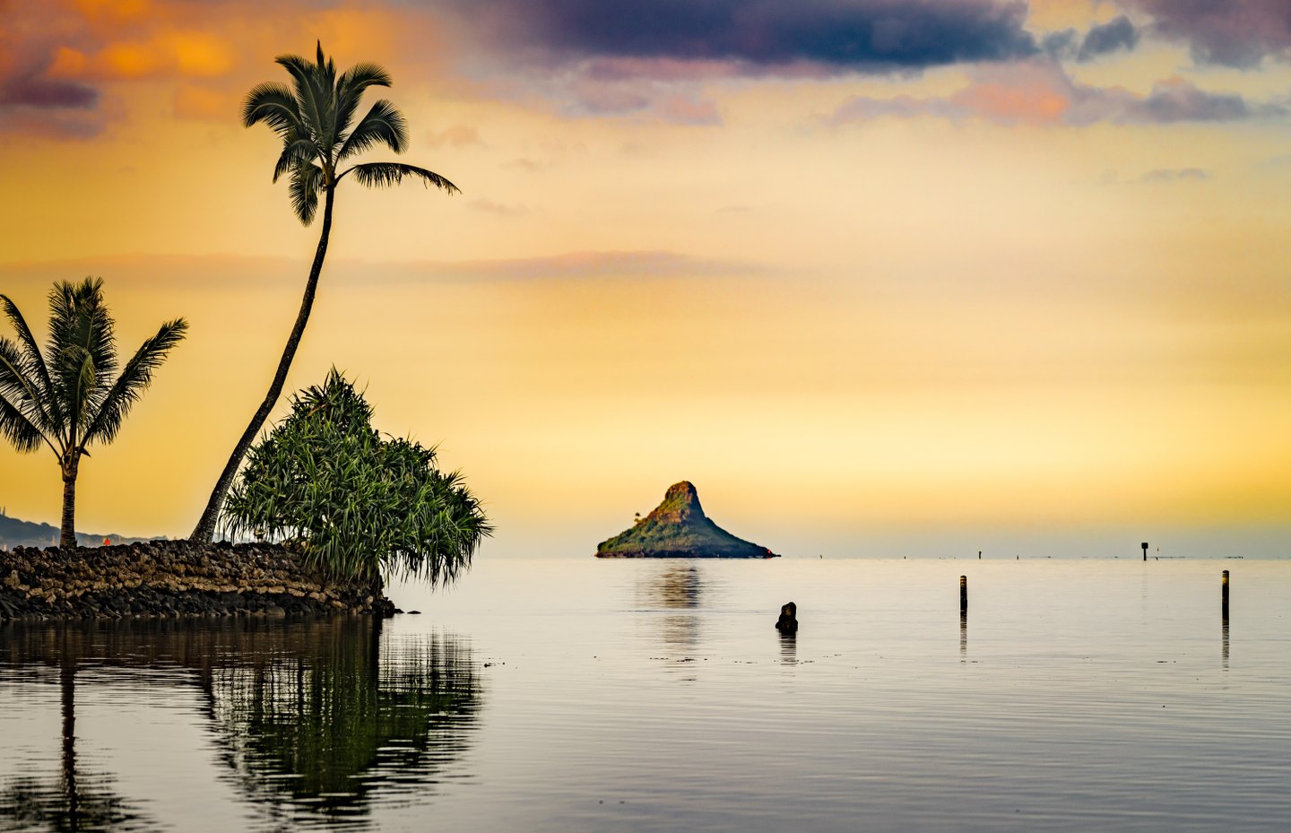Palms and a stone seawall reflect in calm water beneath a golden sky, with a pointed rocky islet in the distance.