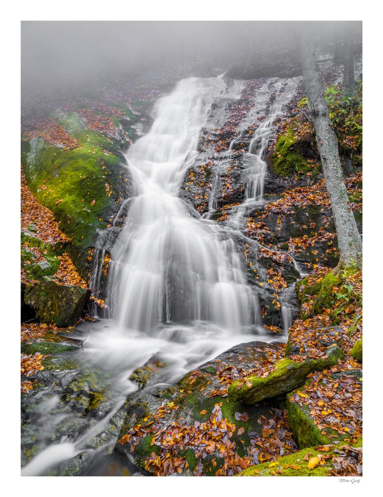 A silky waterfall descends moss-covered rock steps among orange fallen leaves and tree trunks in a misty forest.