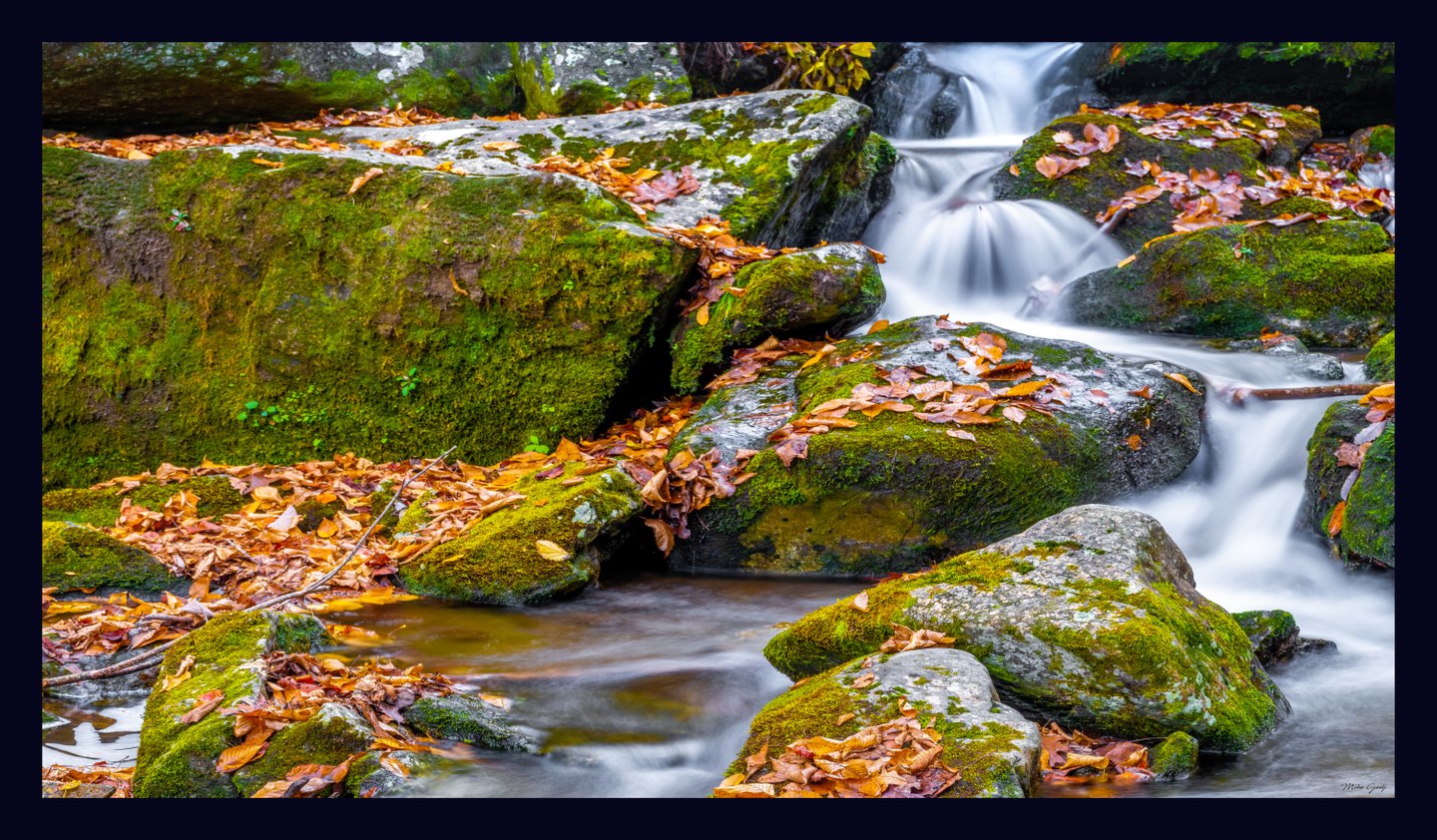 Silky white water cascades between moss-covered gray rocks scattered with orange and brown fallen leaves.