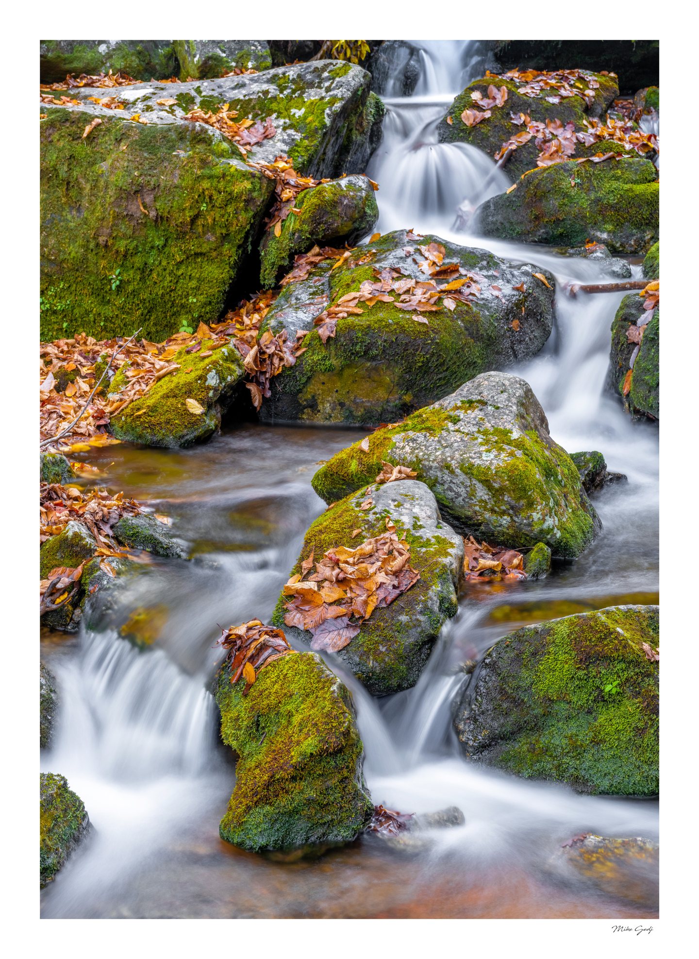 Silky white water cascades between moss-covered rocks scattered with orange and brown fallen leaves.