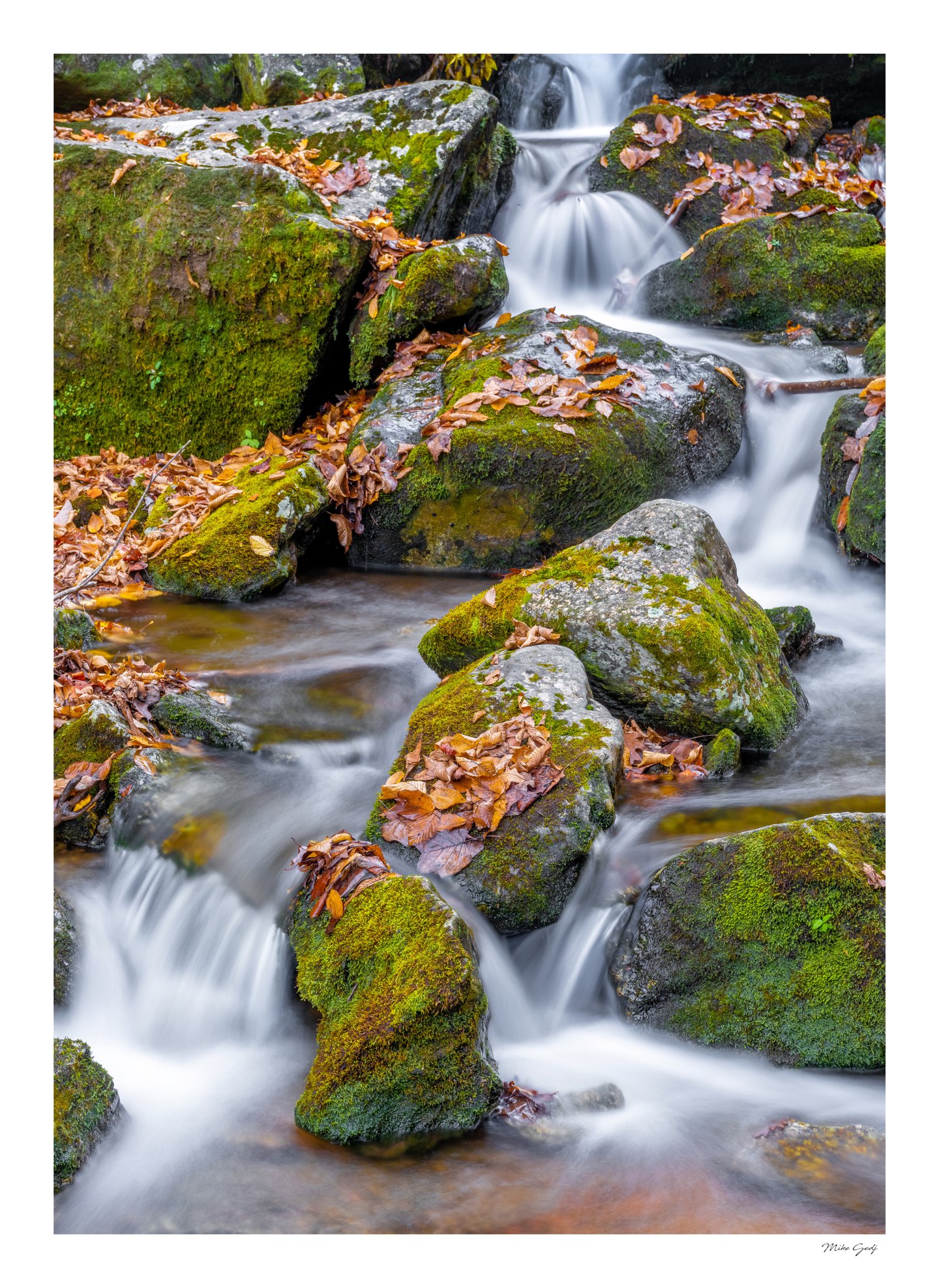 Silky white water cascades between moss-covered rocks scattered with orange and brown fallen leaves.