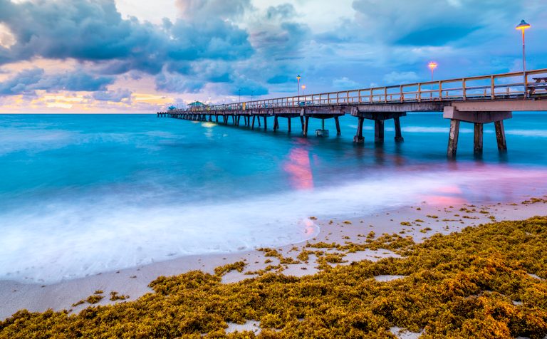 A lit pier extends over turquoise surf beneath blue clouds, with golden-brown seaweed covering the sandy foreground.