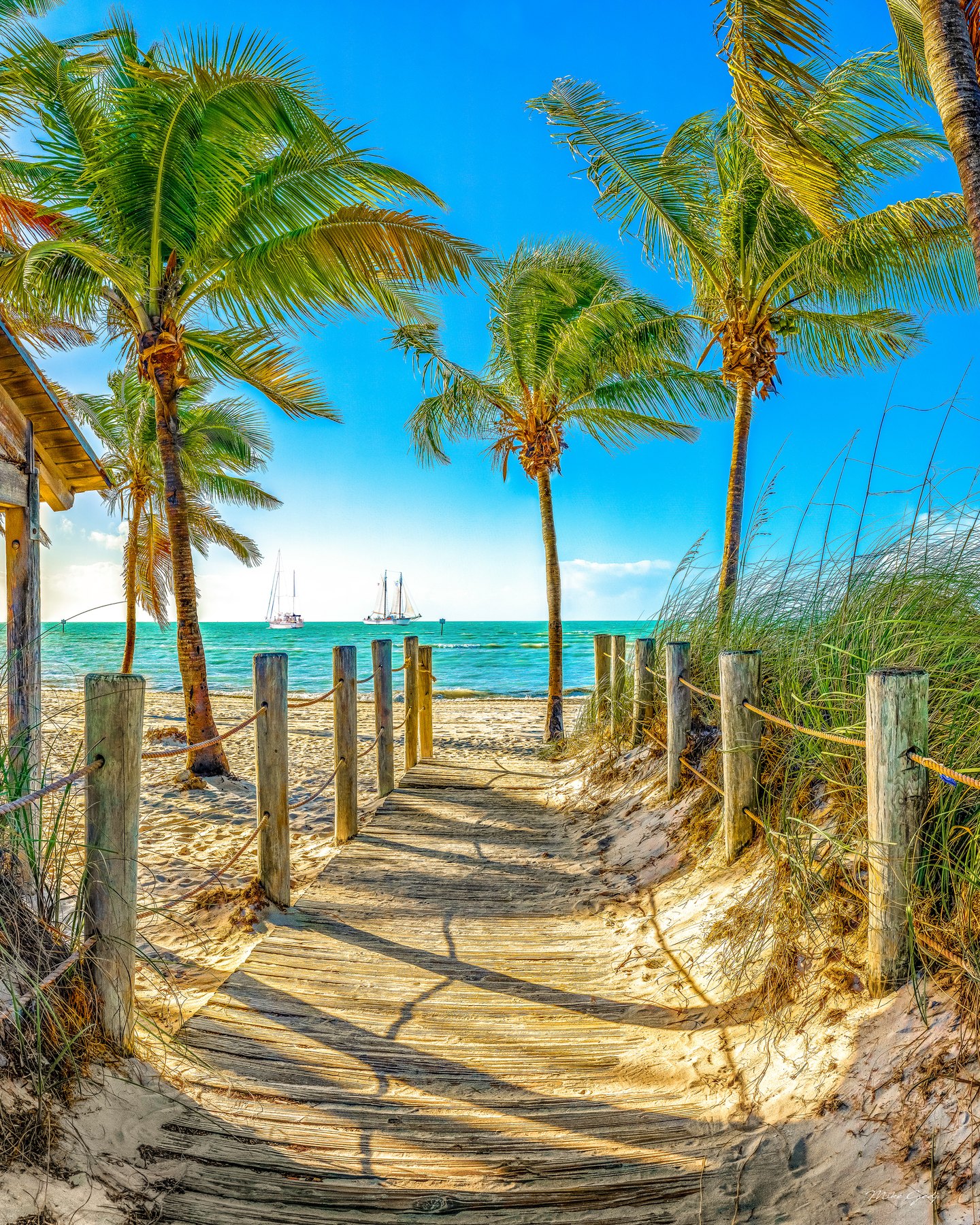 A rope-lined wooden boardwalk leads between palms and dune grasses to turquoise water with two sailboats.